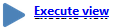 2. Execute View