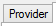 1. Provider Properties