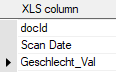 1. XLS Fields