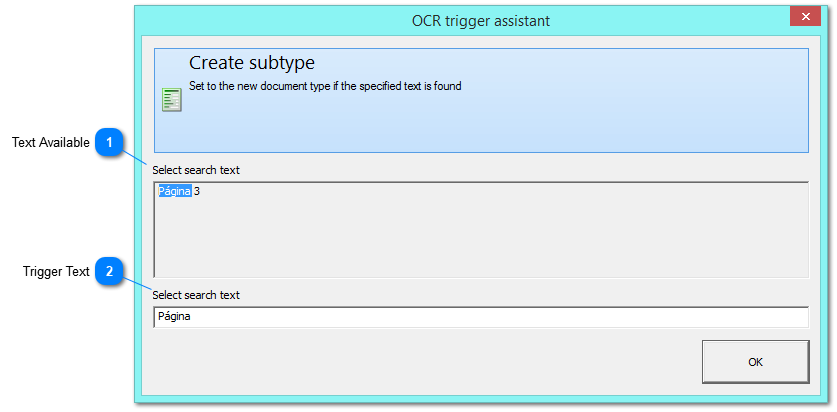 3.5.4.2.3. OCR Trigger Assistant - Subtype