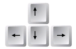 4. Ctrl+Arrows: Pan image